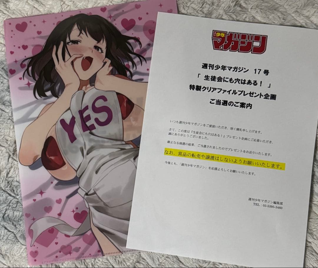 当選 クリアファイル　5つセット 5ポケット クリアホルダー/クリアファイル｜ミドリ オンラインストア