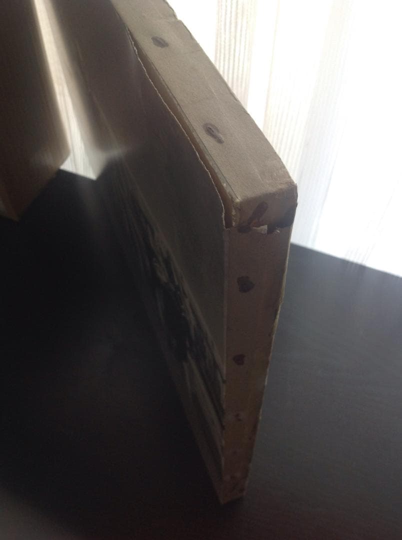 競馬パネル：カブラヤオー「1975年 第42回東京優駿」