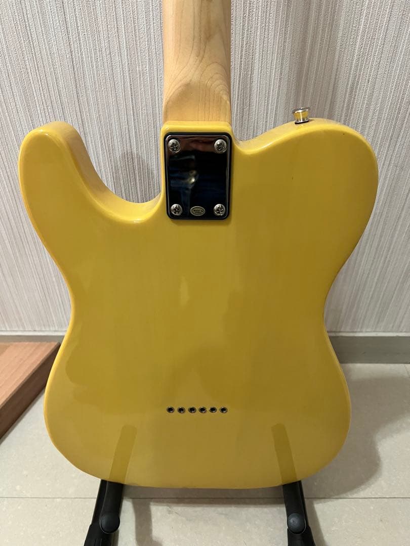 Bacchus BTE-1/M BBD バッカス テレキャスタイプ スタンド付き