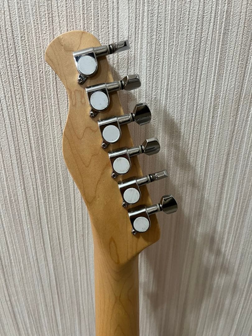 Bacchus BTE-1/M BBD バッカス テレキャスタイプ スタンド付き