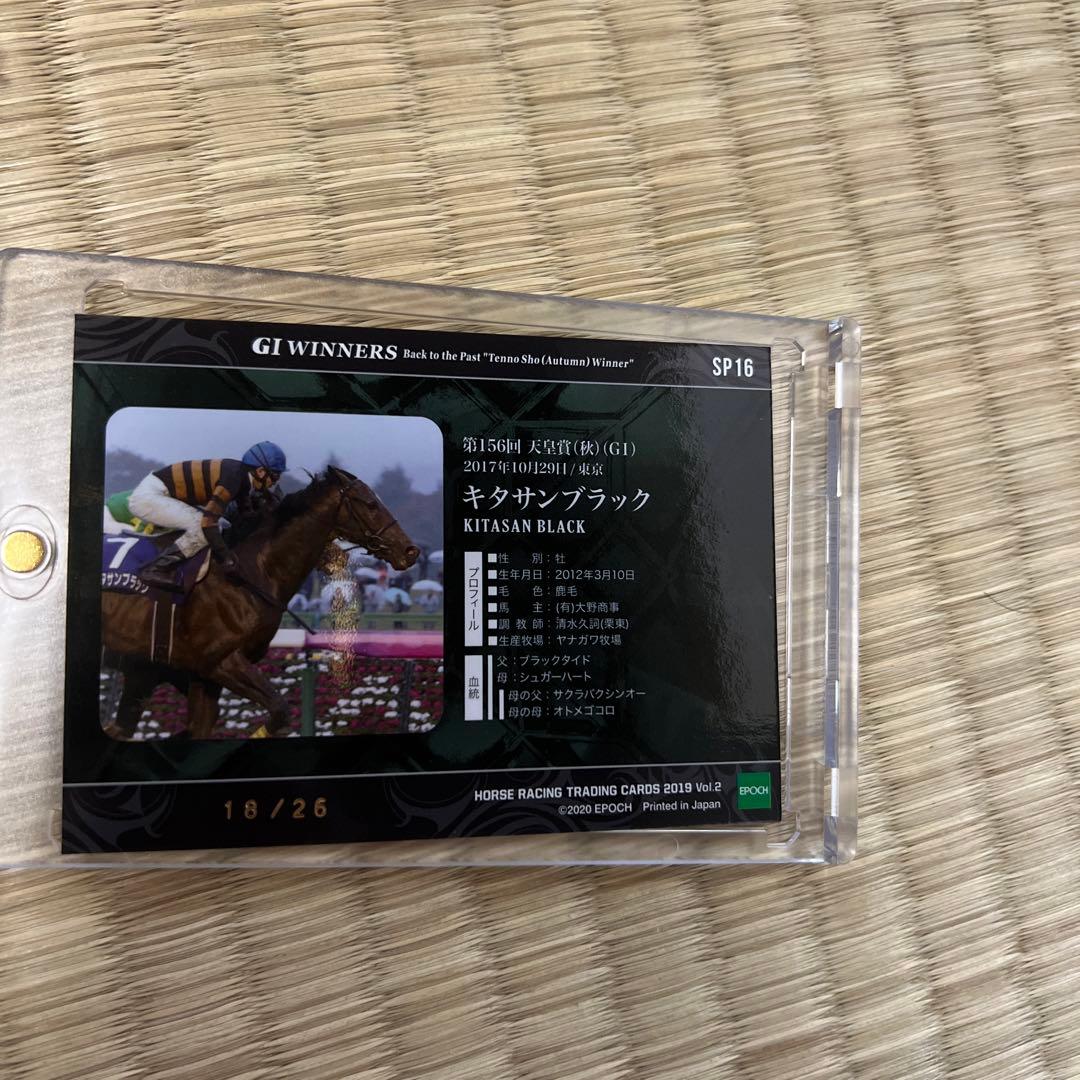 ホースレーシング2019　キタサンブラック