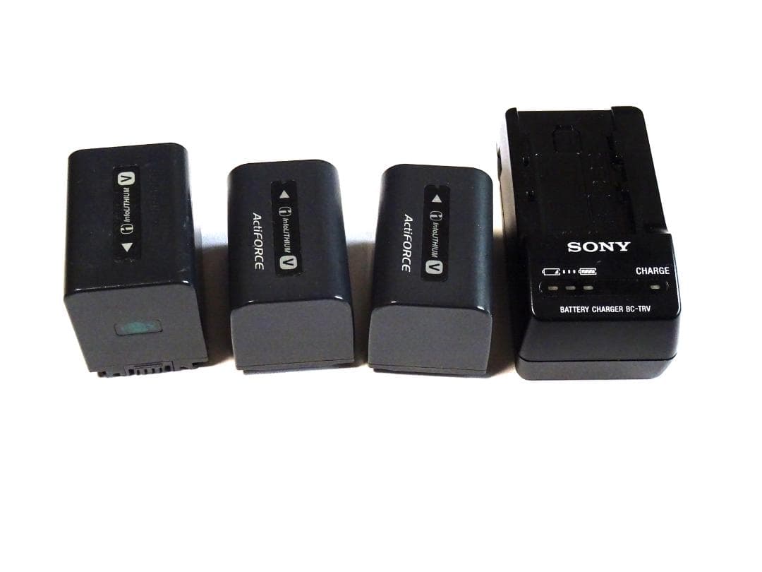 ビデオカメラ SONY Handycam HDR-CX700V