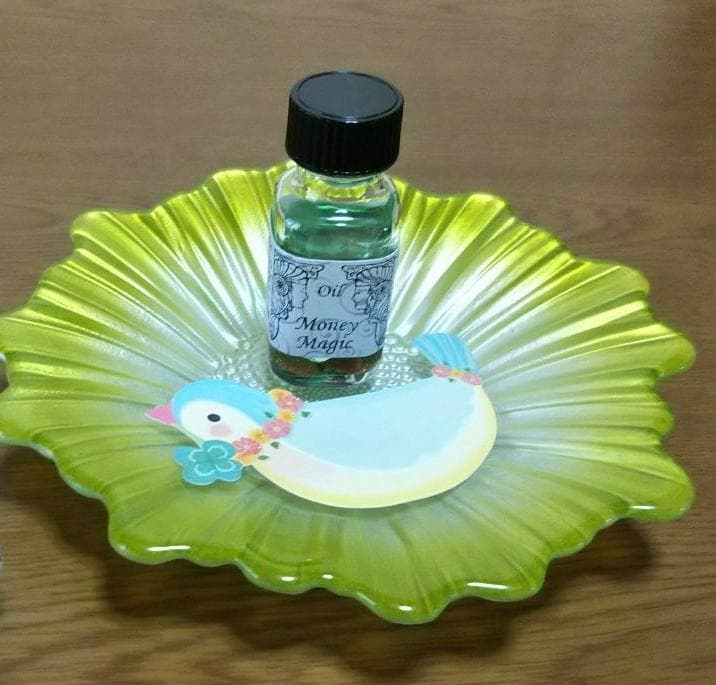 未使用品】コーチ 財布 フローラルアップリケ 花 二つ折り 金運アップ