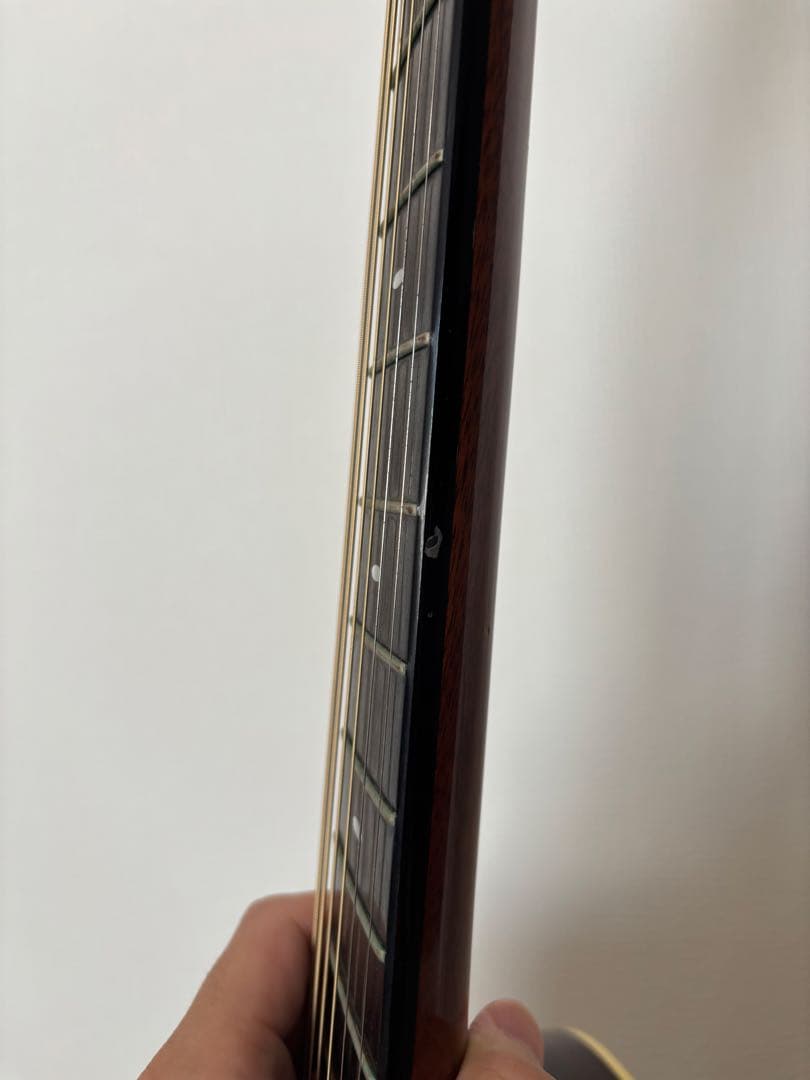 値下げ】Switch D-70C（純正ギグバッグ付き）美品