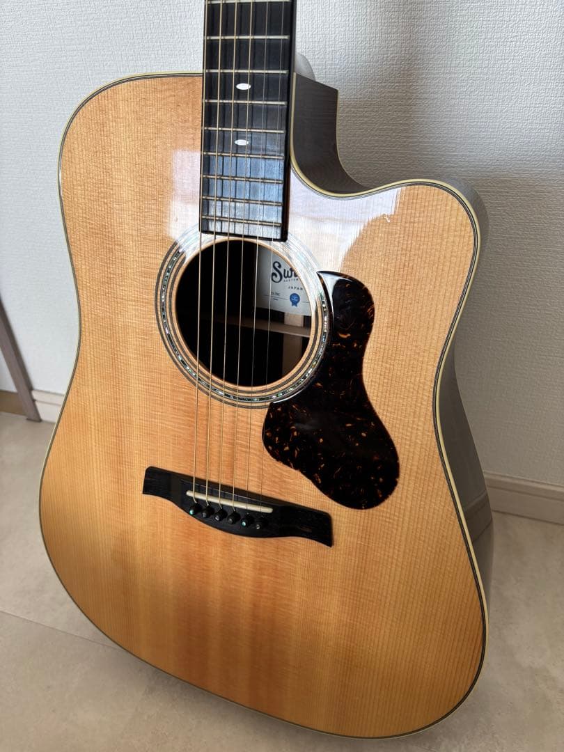 値下げ】Switch D-70C（純正ギグバッグ付き）美品