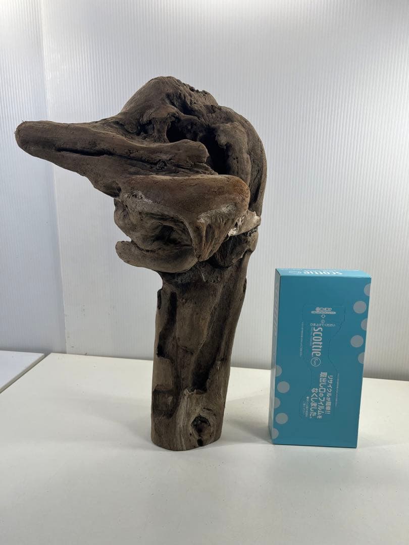 W31アク抜き済み流木 爬虫類シェルター 登り木 インテリア 生け花