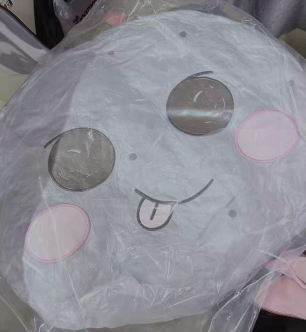 RIIZE ウンソク トルビョン ライズ 中国限定 抱きまくら