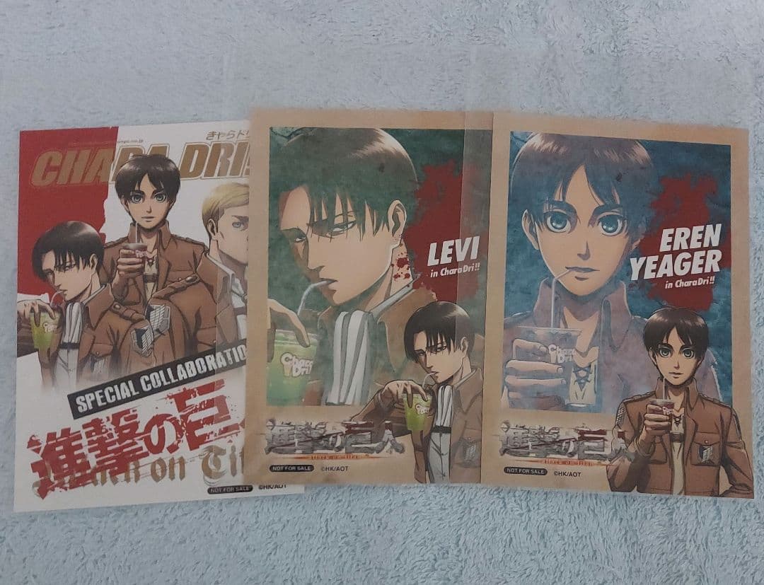 アンモナイトの化石 ベルギーで入手 a009(yh)