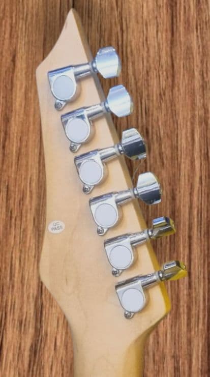 GIG THE PROFESSIONAL・ギター・ ソフトケースつき