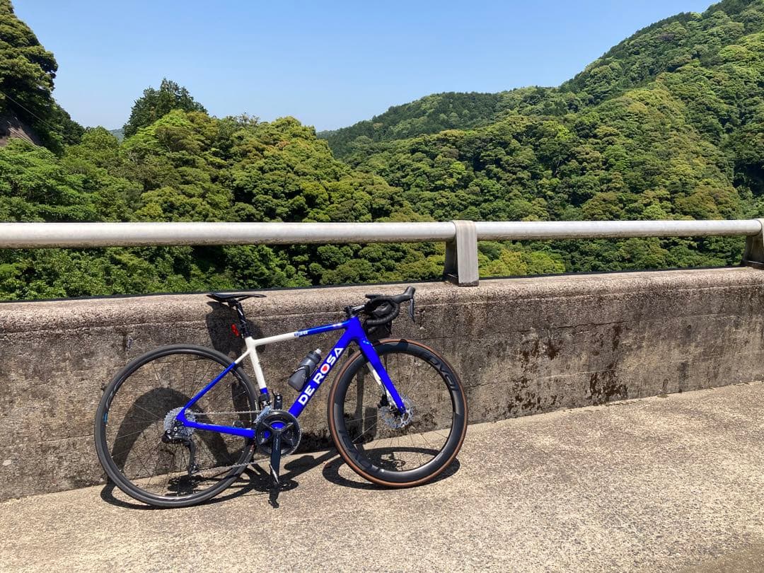 DE ROSA R838 タケさん専用