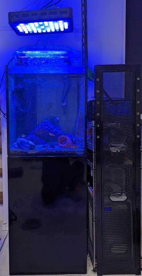 3面ブラック GEX 90cm水槽 水槽台セット ガーネットサンド付き