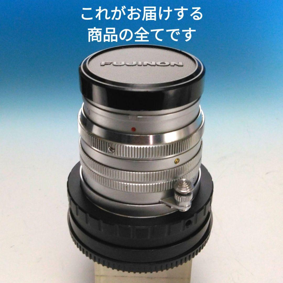 Schott 643EVS 襟付きシングルライダース ダークブラウン サイズ34