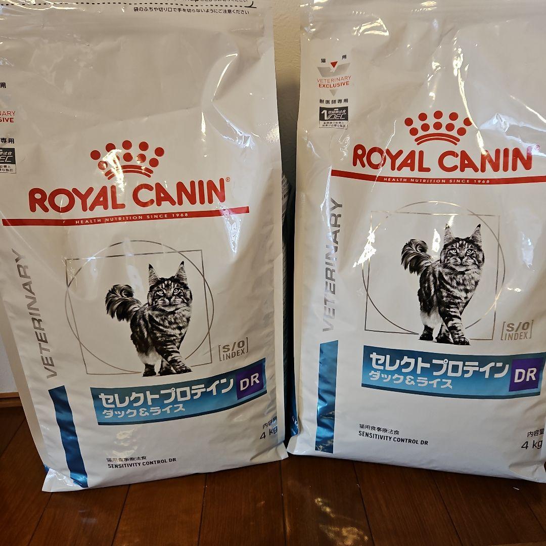 ✨新商品✨【aiSUru Heart】WH ホワイト (予約販売)