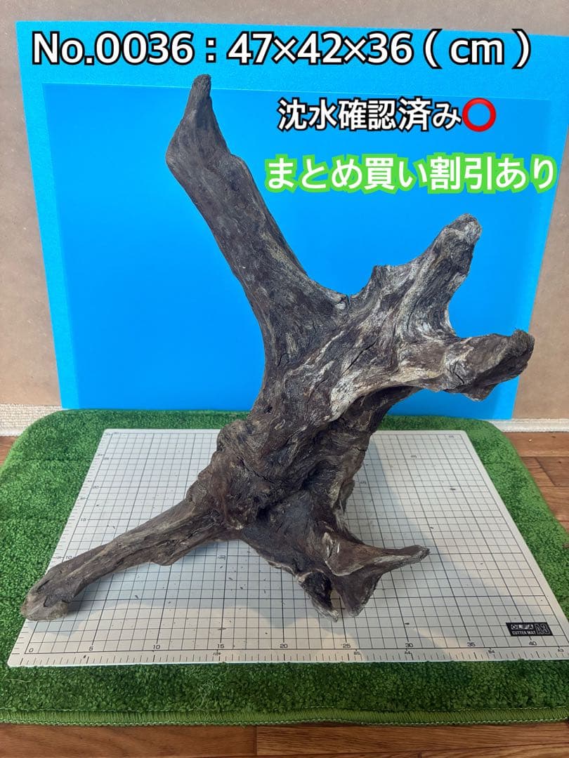 煮沸 沈水確認済み】No.0036 天然流木 アクアリウム 爬虫類用 - メルカリ