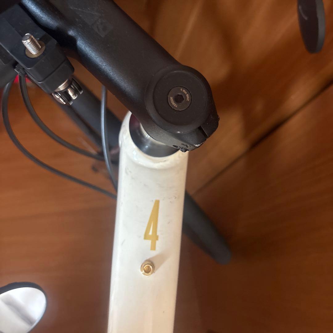 Trek ロードバイクDOMANE AL4 （サイズ:54）