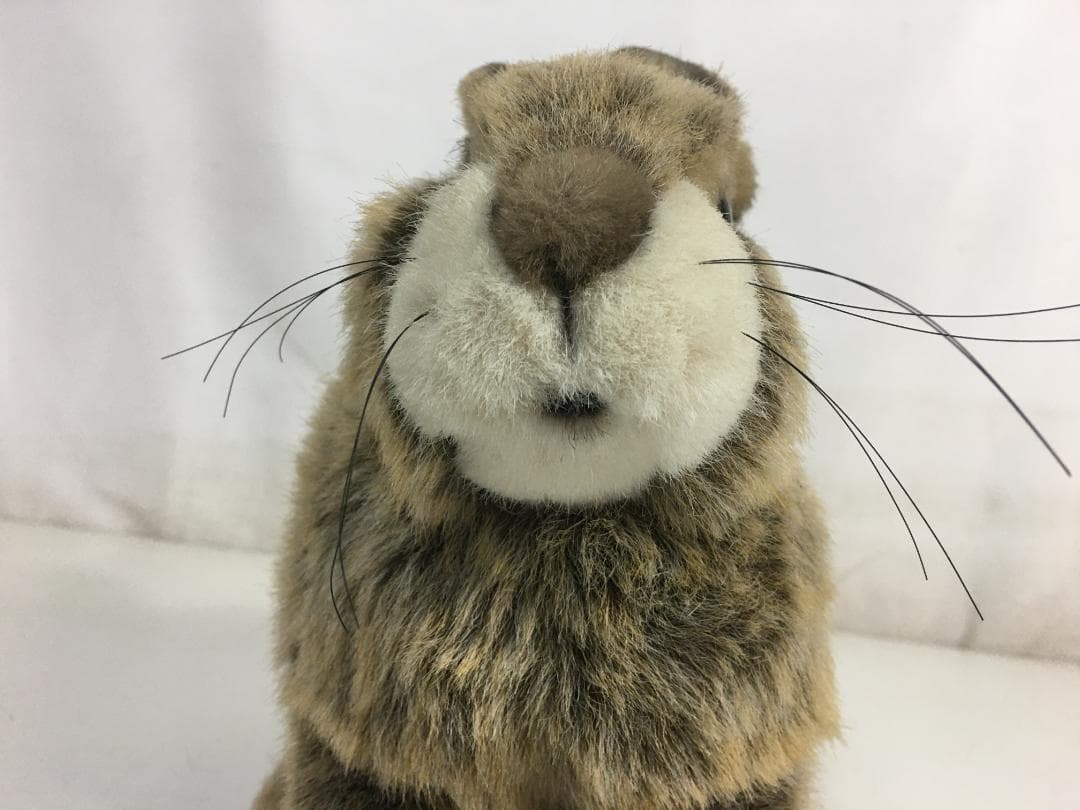 ☆KOSEN うさぎ ぬいぐるみ ドイツ製 ケーセン ウサギ 兎