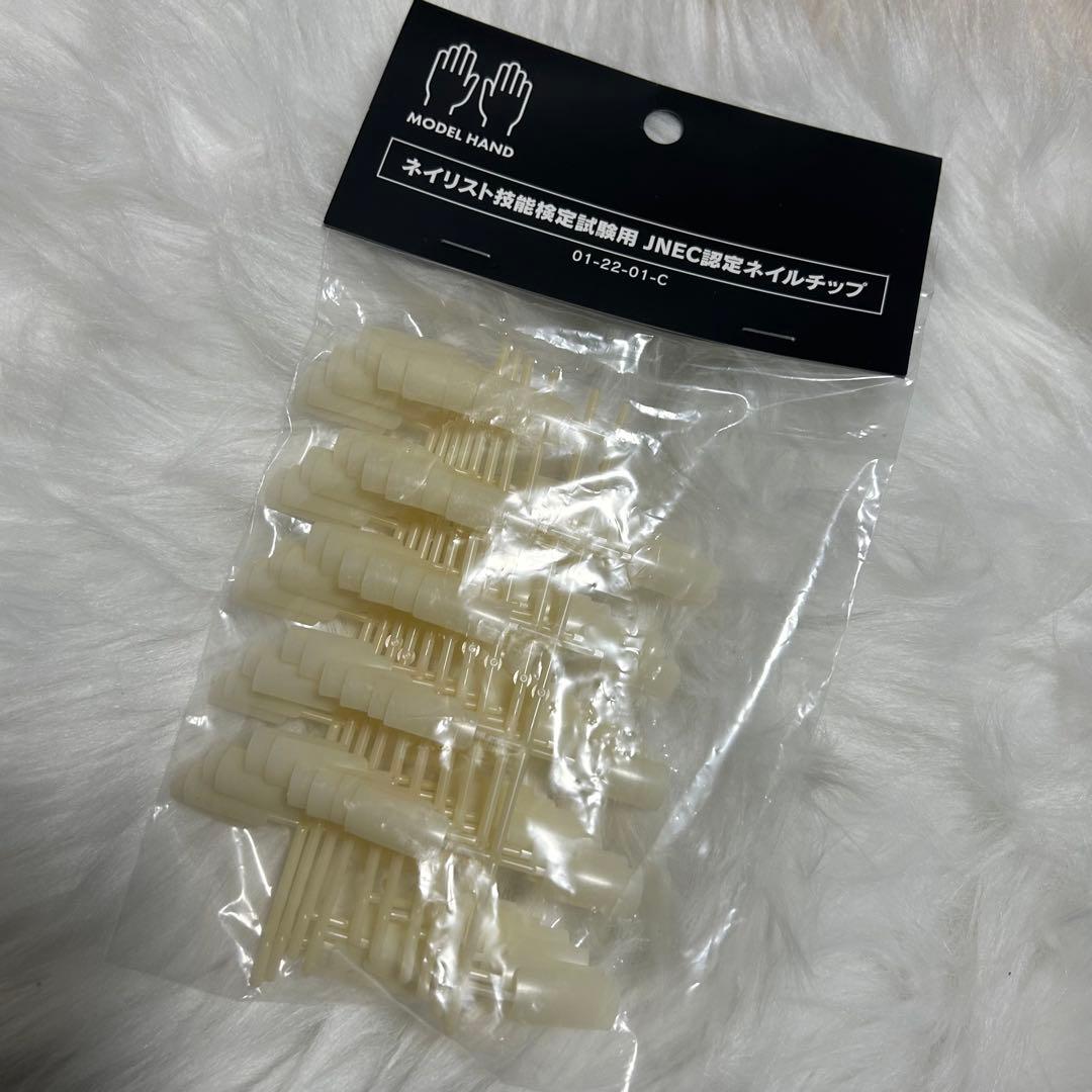 JNEC認定STモデルバンド両手 ネイルチップ