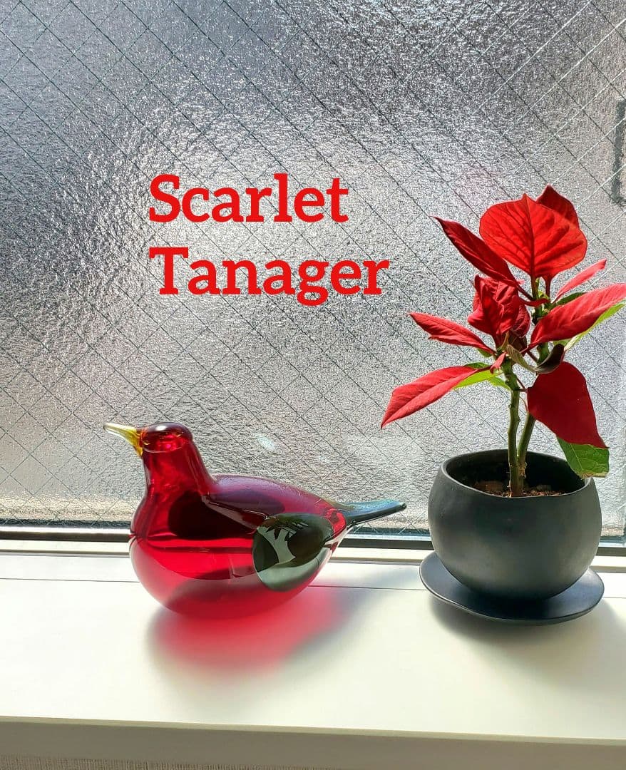 iittala bird イッタラ バード Scarlet Tanager