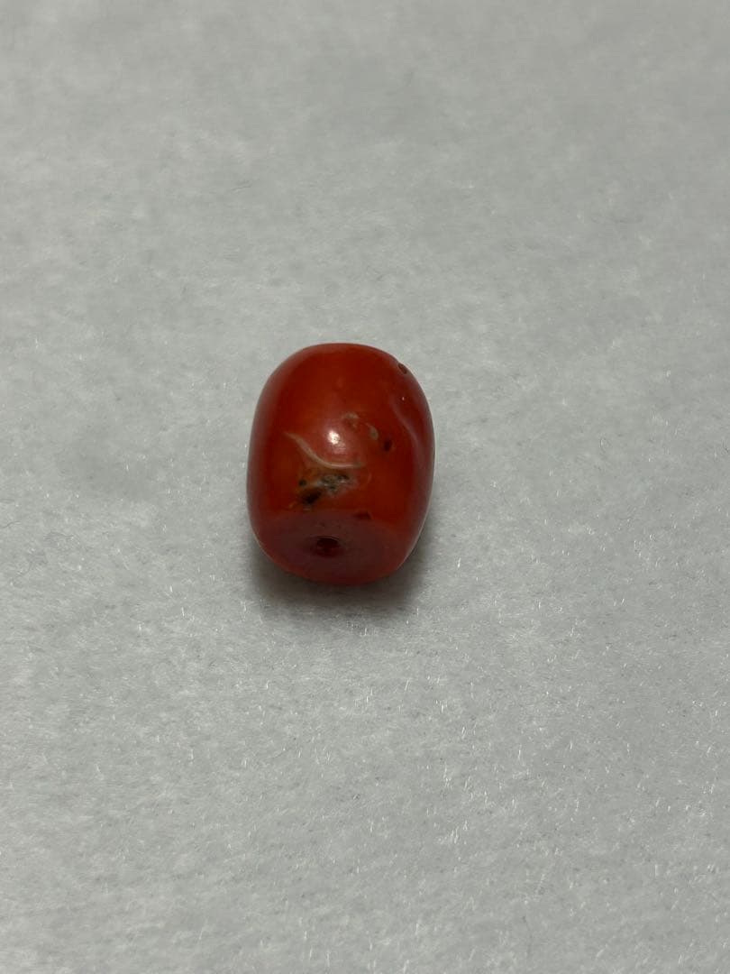 アンティーク　珊瑚