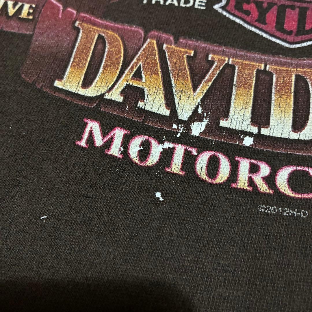 HARLEY-DAVIDSON プルオーバーパーカー　袖プリント　No1 スカル