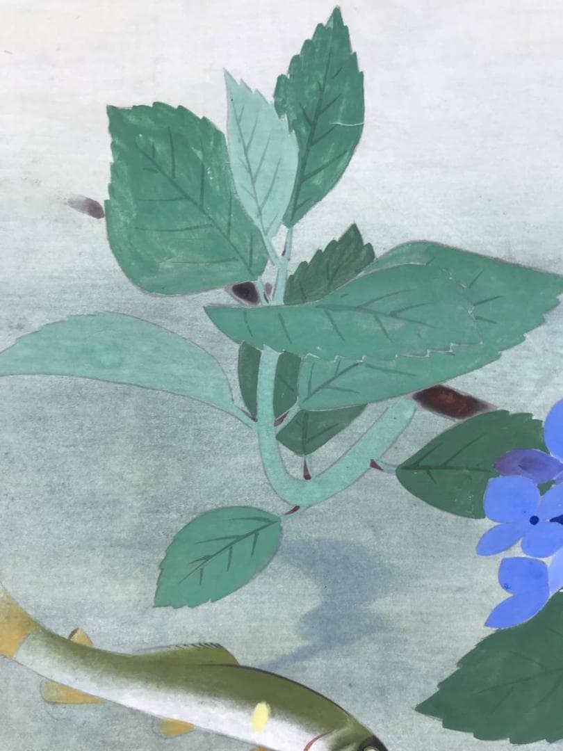 真作】飯島柳三郎/鮎図/アユ図/香魚図/横物/掛軸/名家伝来/