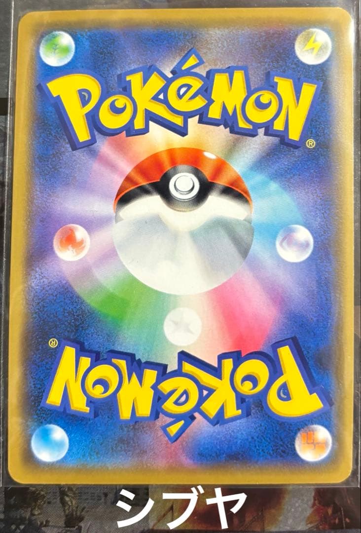 シブヤのピカチュウ・ヨコハマのピカチュウ