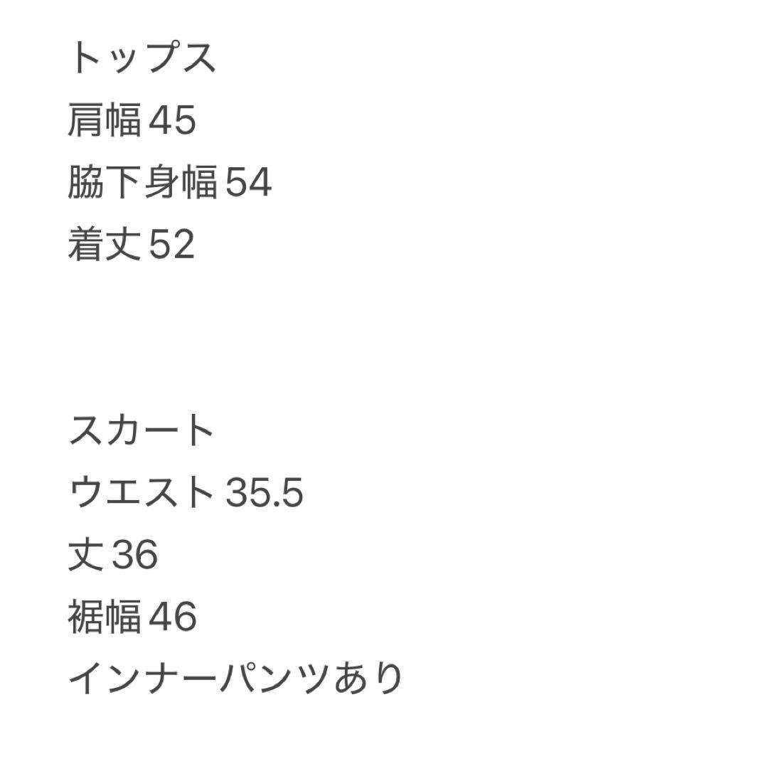 フリース　長袖　クロップド丈　ボアスカート　サイズL セットアップ　秋冬　温かい
