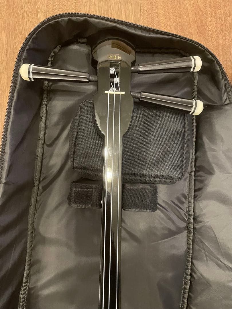 三味線 本体 蛇皮模様 ケース付き