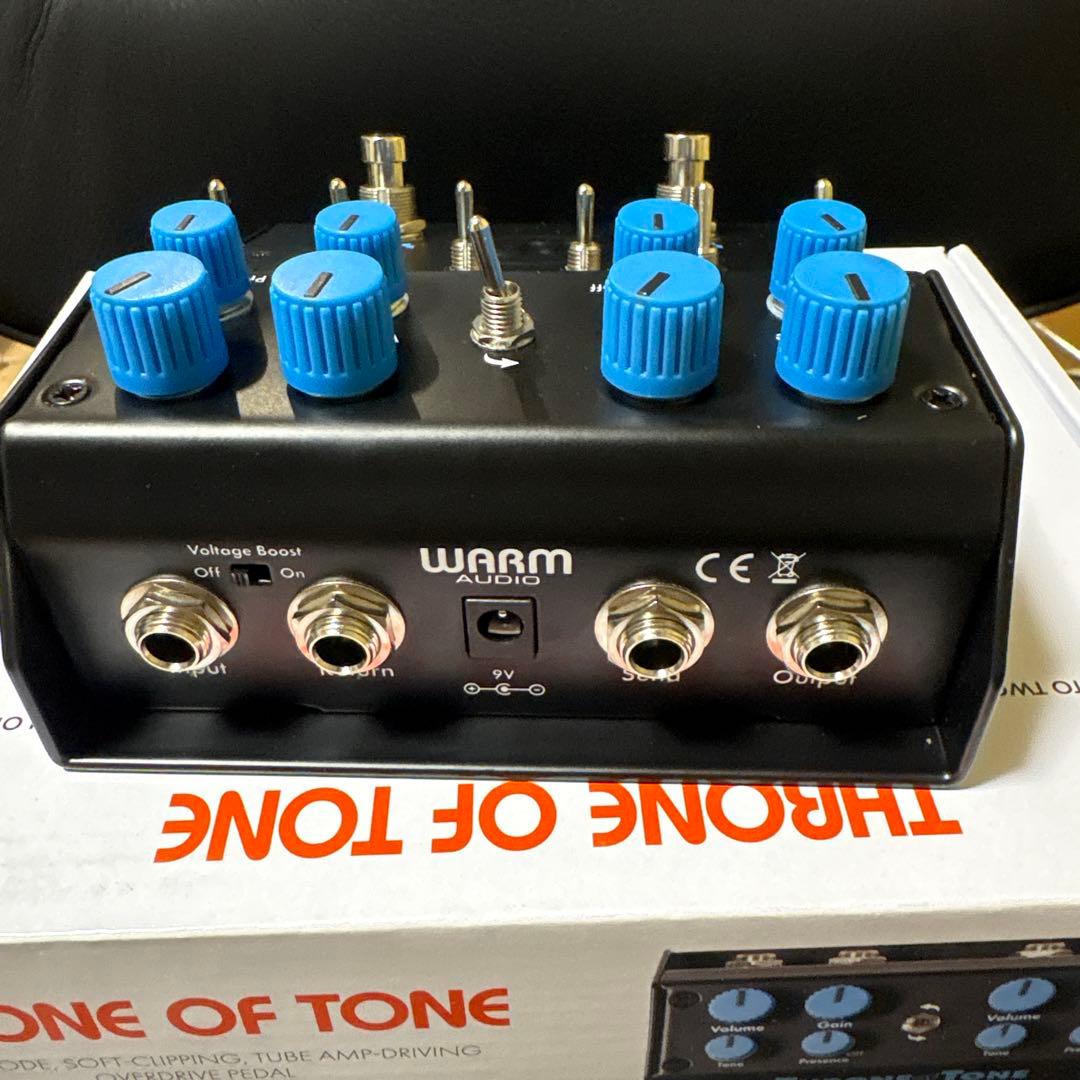 ギター WARM AUDIO Throne of Tone