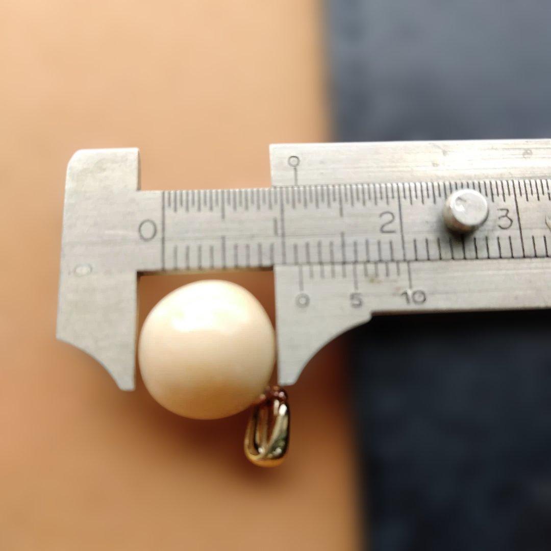 鯨歯 マッコウクジラ 牙玉ペンダントトップ 11.5㎜ ⑧ - メルカリ