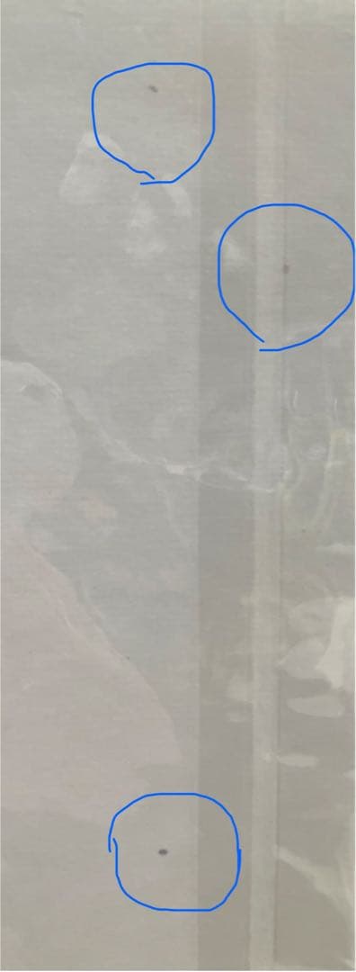 【HEATHER BROWN】ヘザーブラウン ＊OUTER REEF＊