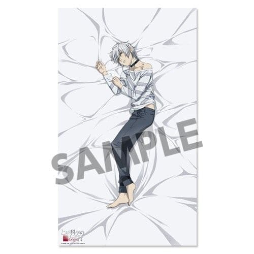 アクセラレータ 抱き枕カバー 希少品