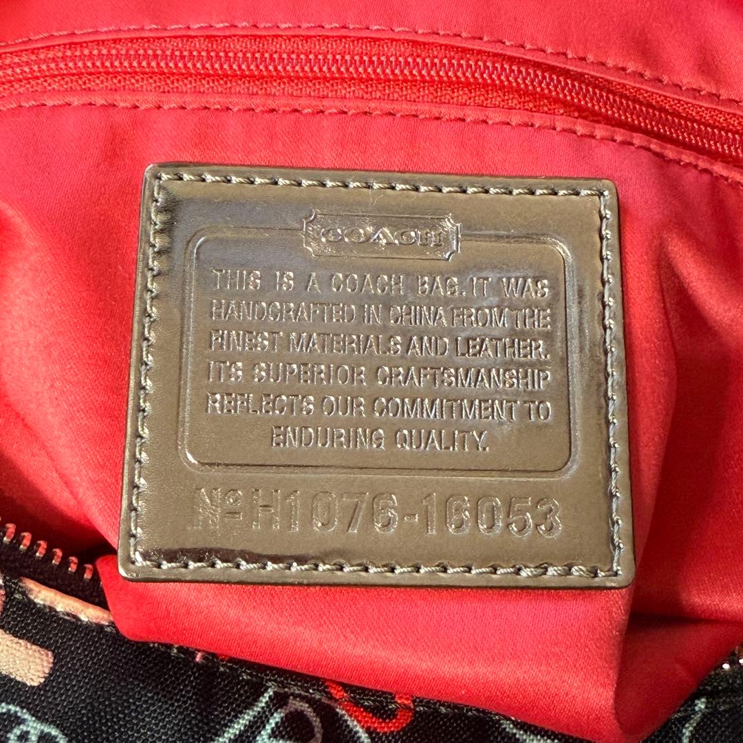 未使用級美品✨COACH POPPYマルチカラー ワンショルダーバッグ y2k