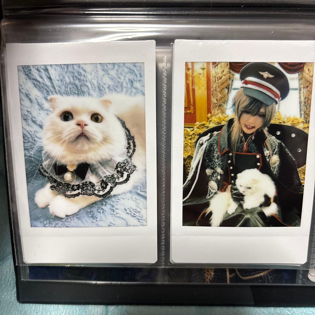 Royz 杙凪 ほたて チェキ 入場特典 - メルカリ