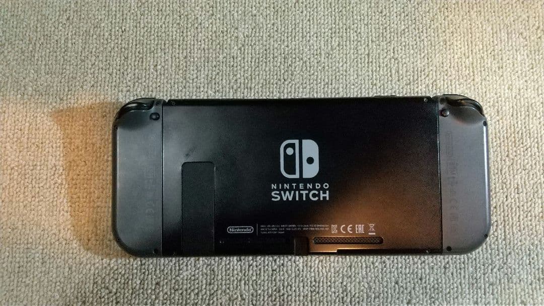 Nintendo Switch グレー ケース付き