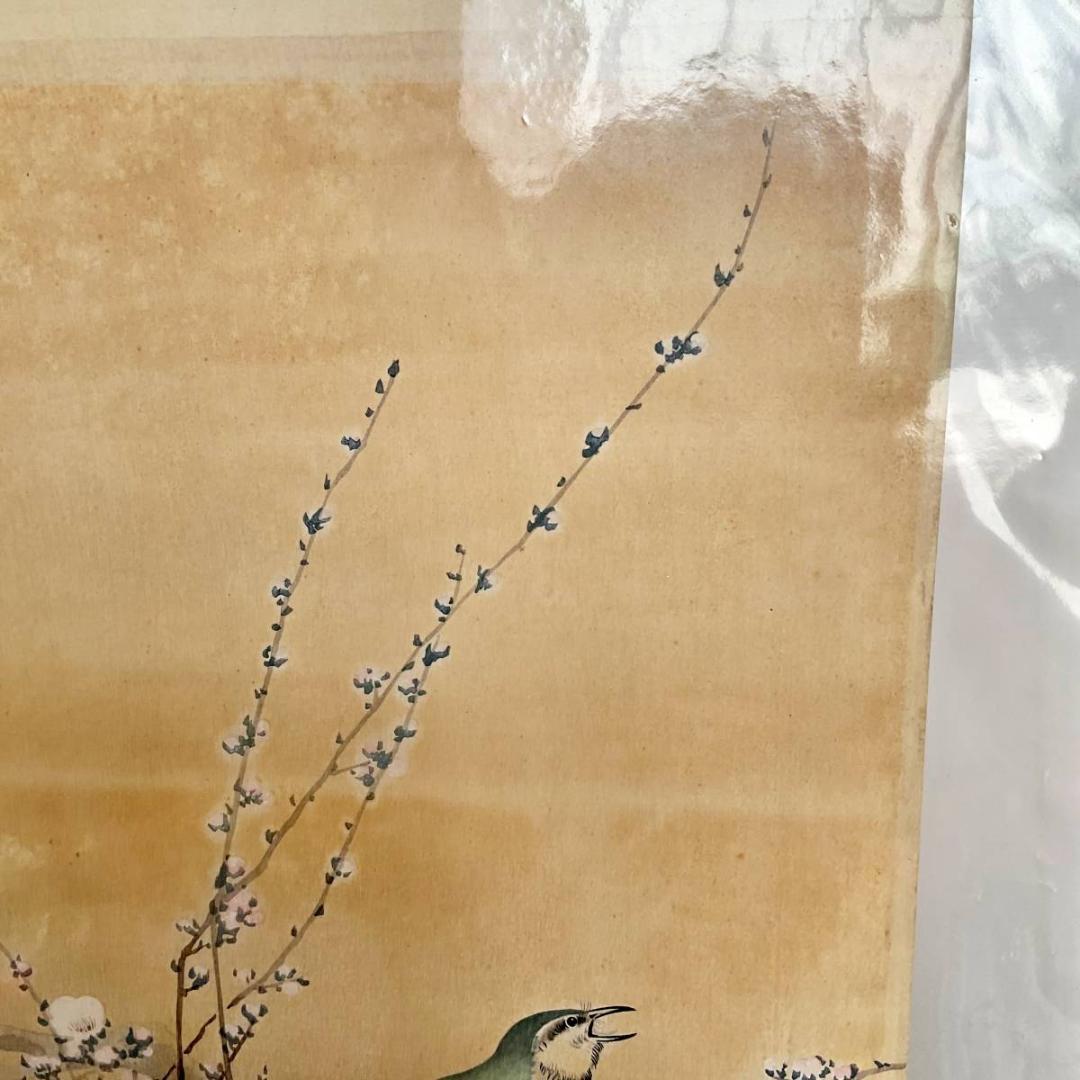 小原古邨 祥邨 豊邨 『梅に鶯』 明治後期作 木版画 真作 美品 鳥