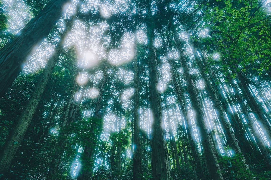 元箱付】LEICA Q2 完動品ブラックミスト・予備バッテリー付」作例有