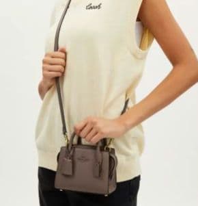 COACH アンドレア ミニ キャリーオール　ブラウン ショルダーバッグ