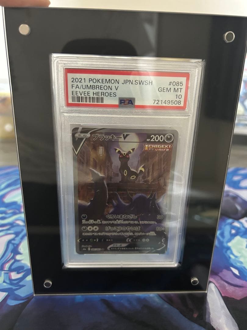 ブラッキーV PSA10