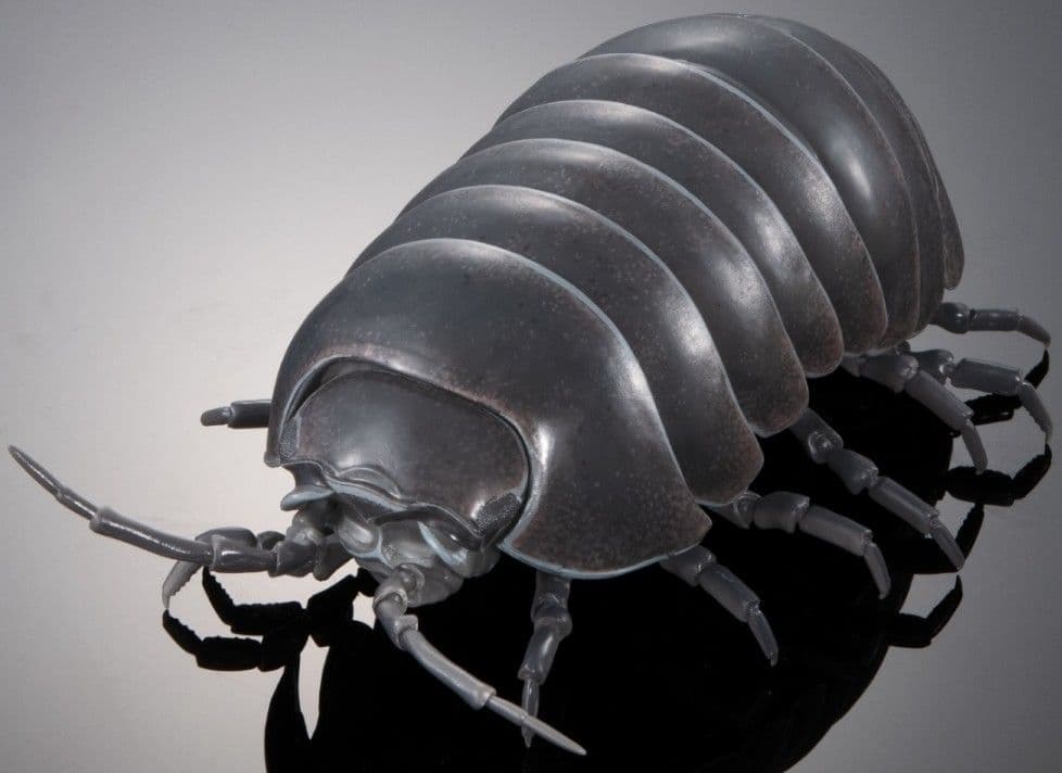 オンライン限定 いきもの大図鑑 ダンゴムシ（重塗装版） 全3種 コンプ