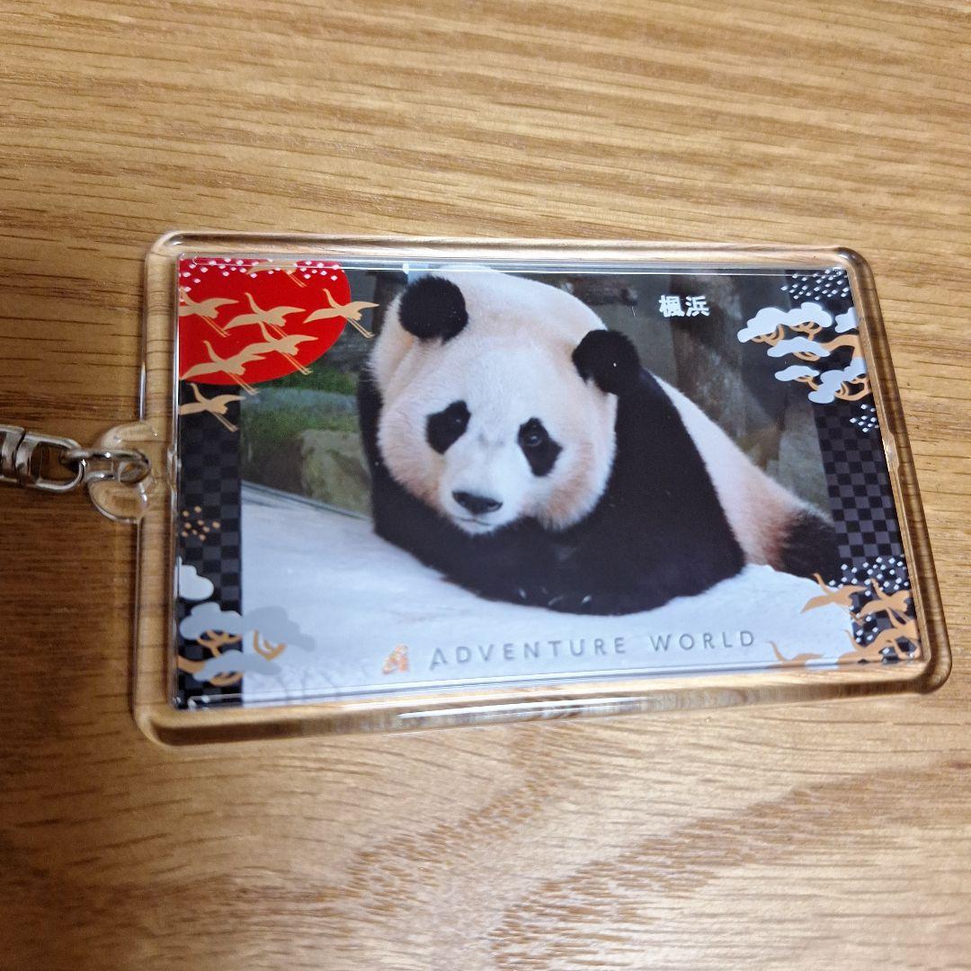 新品 楓浜 良浜 彩浜 良浜 キーホルダー アドベンチャーワールド