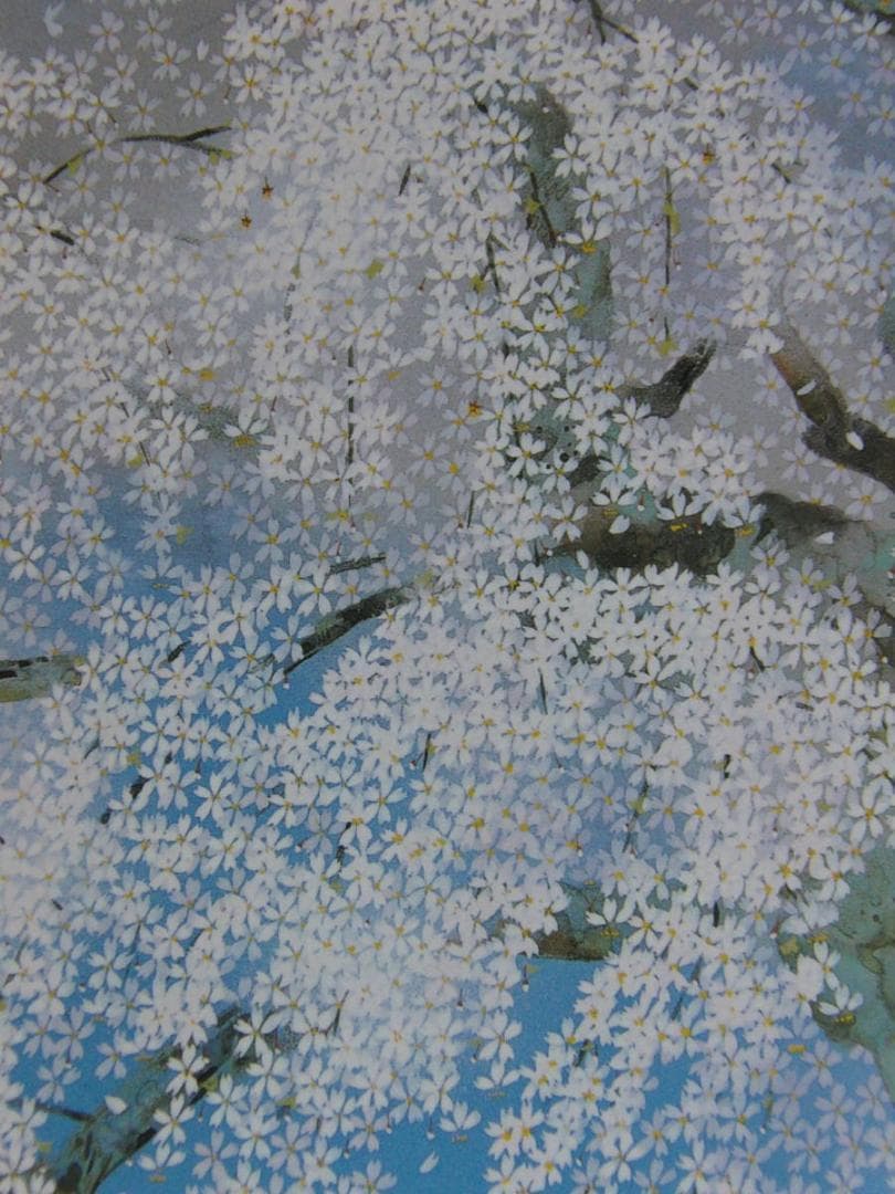 中島千波、【三春櫻花爛漫】、希少な額装用画集より、新品額装付、状態良好