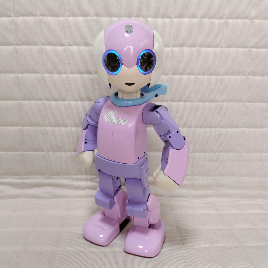 ロビ 全塗装 [ロビの目覚]から起動 フルセット