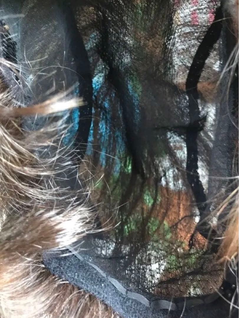 新品#ライトウイッグSHW-1904#30519