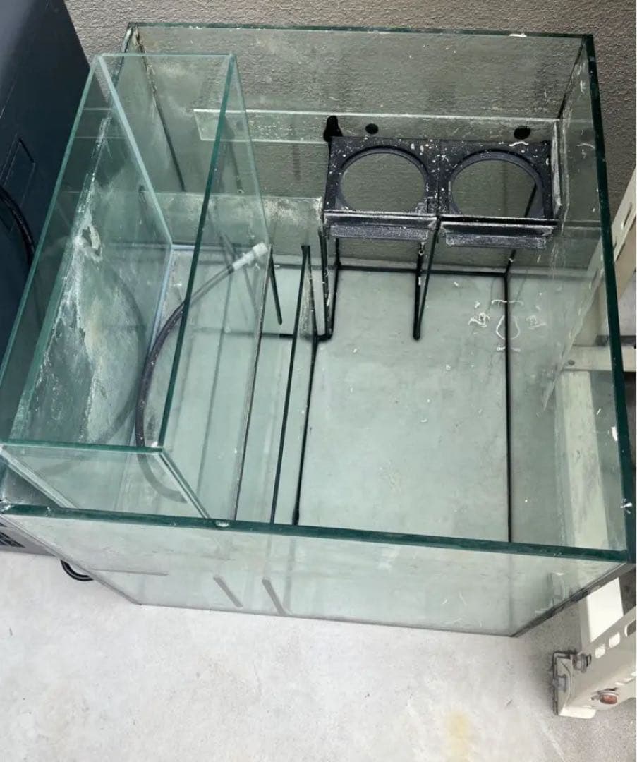 ○水無月さん限定○レッドシーリーファー250 ホワイト 水槽のみと