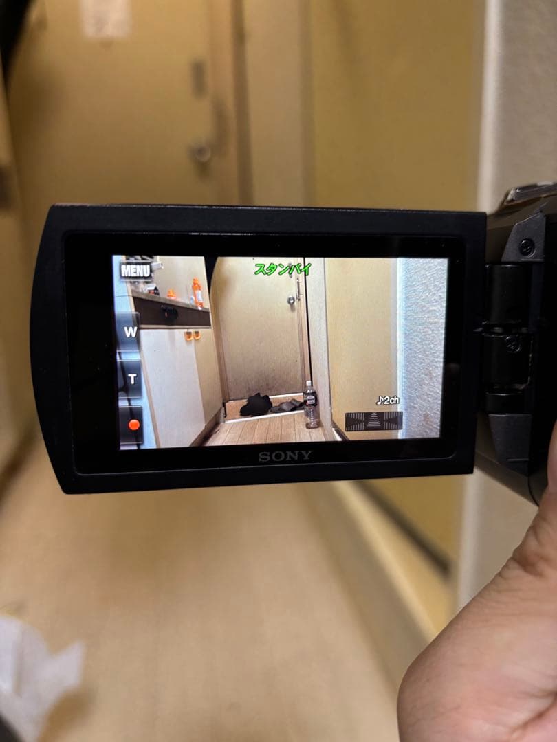 SONY FDR-AX45HANDYCAM 本体