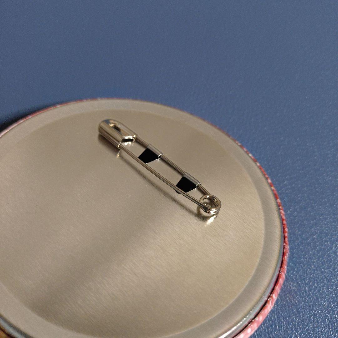 バースデー缶バッジ＆カバーセット モンキー・D・ルフィ ワンピース 2019