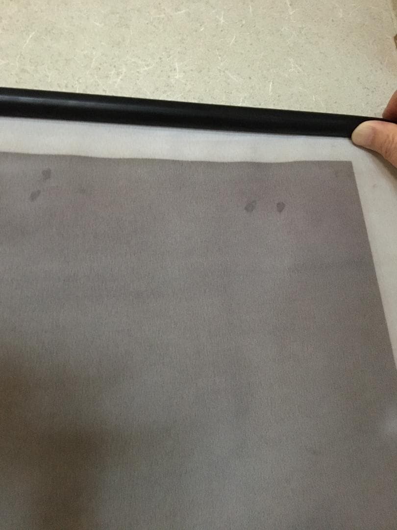 ジョイウオン　王祖賢　BIG タペストリー