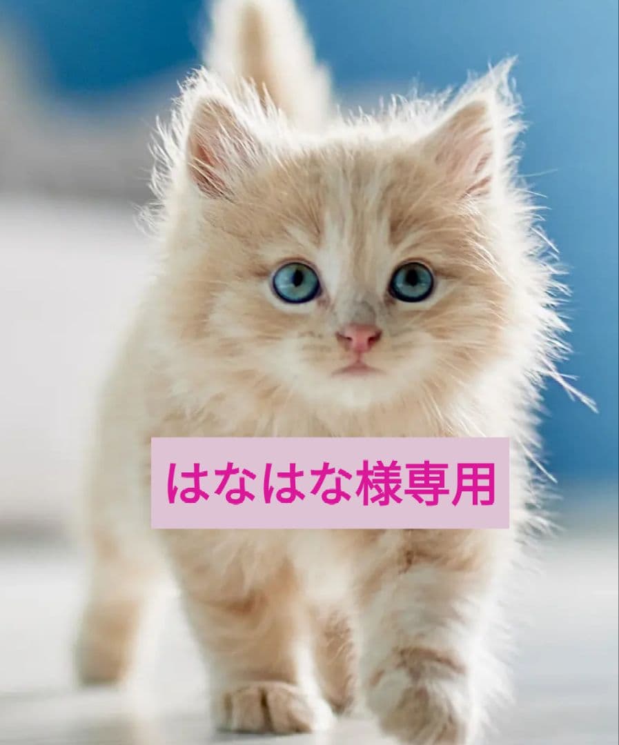 はなはな　シュプレモ　成猫用 チキン&サーモン　白身魚&チキン ニュートロ シュプレモ 成猫用（チキン&サーモン）（白身魚