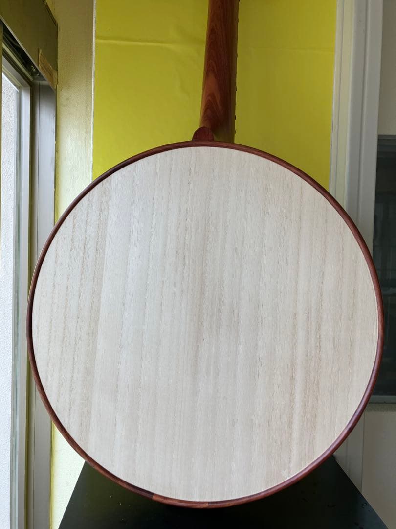 中国の民族楽器中阮 中元